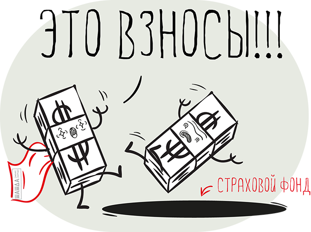 Расчёт и уплата страховых взносов ООО