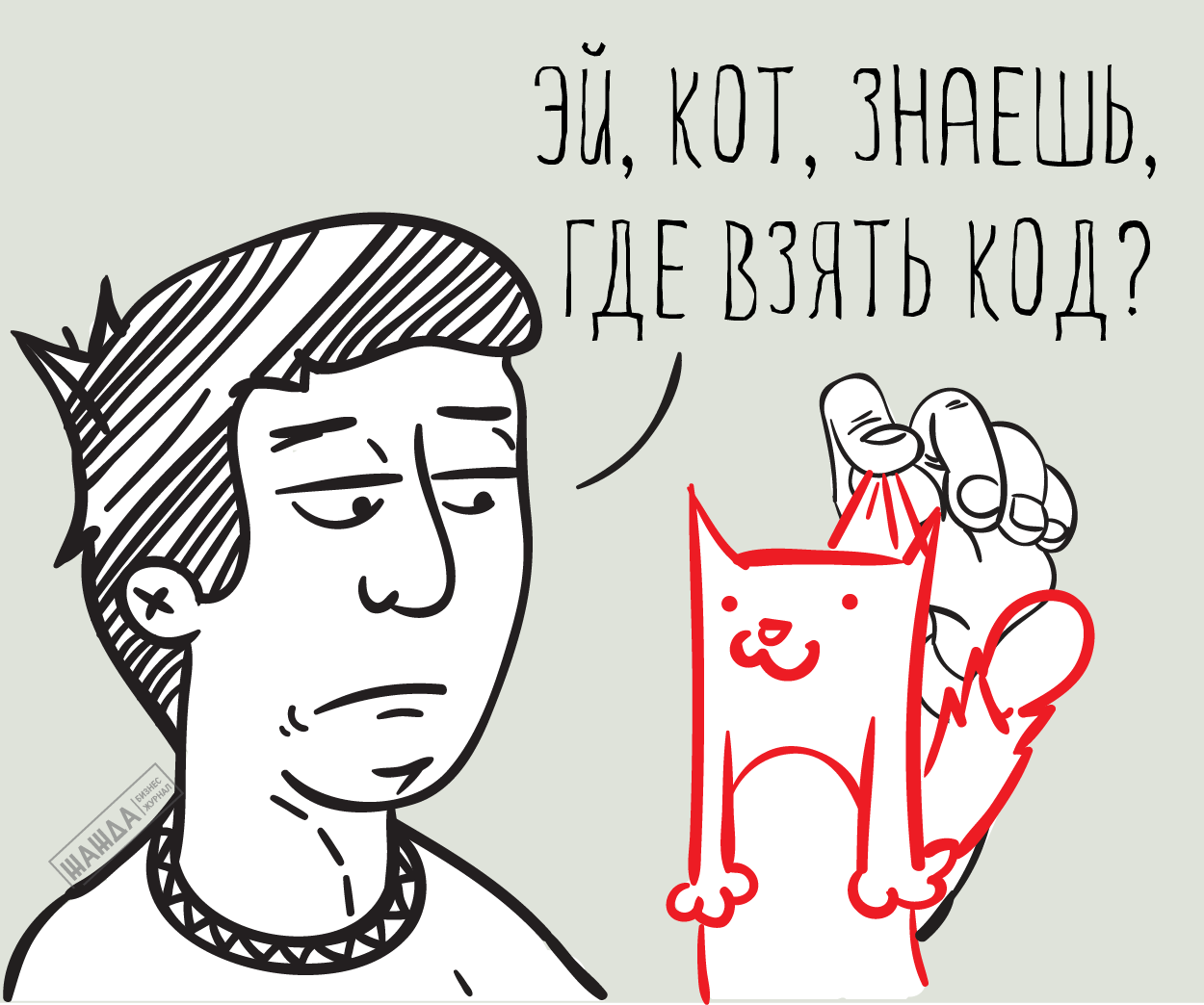 Коды статистики для ИП: что такое, где и как получить
