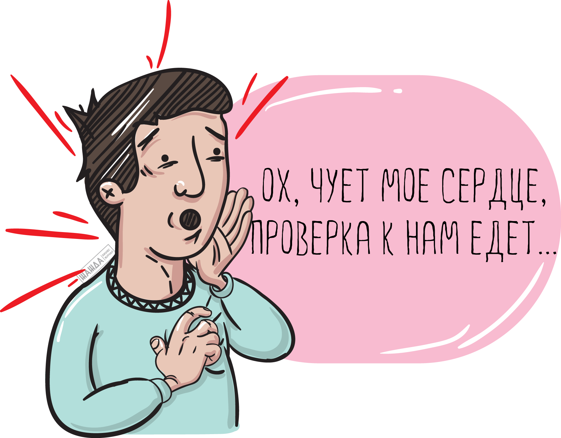 Аудит НКО