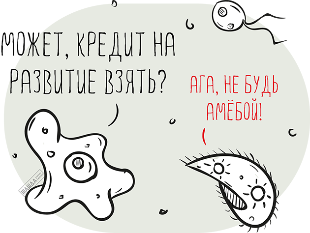 Инвестиционный налоговый кредит