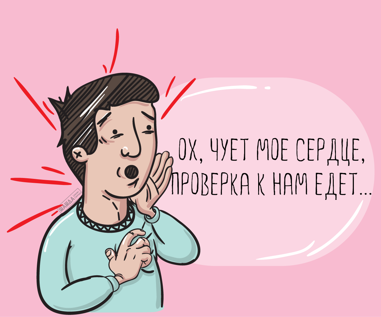 Аудит НКО