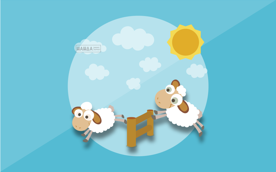 Как открыть ферму для разведения овец