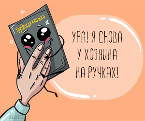 Забрала трудовую. Трудовая книжка Мем. Электронные трудовые книжки картинки картинки нарисованные.