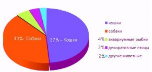 Бизнес план гостиницы для животных пример с расчетами