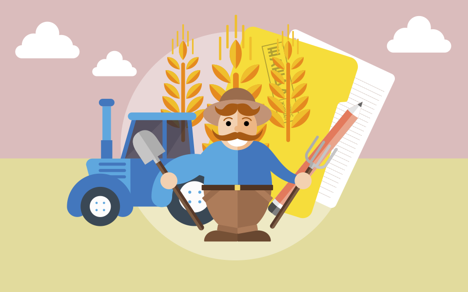 Как открыть бизнес по выращиванию зерна